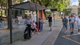 Tensión y rifirrafes entre trabajadores de los autobuses y usuarios en plena manifestación en Murcia: del "caminan como tortugas" a los gritos de "ratas"