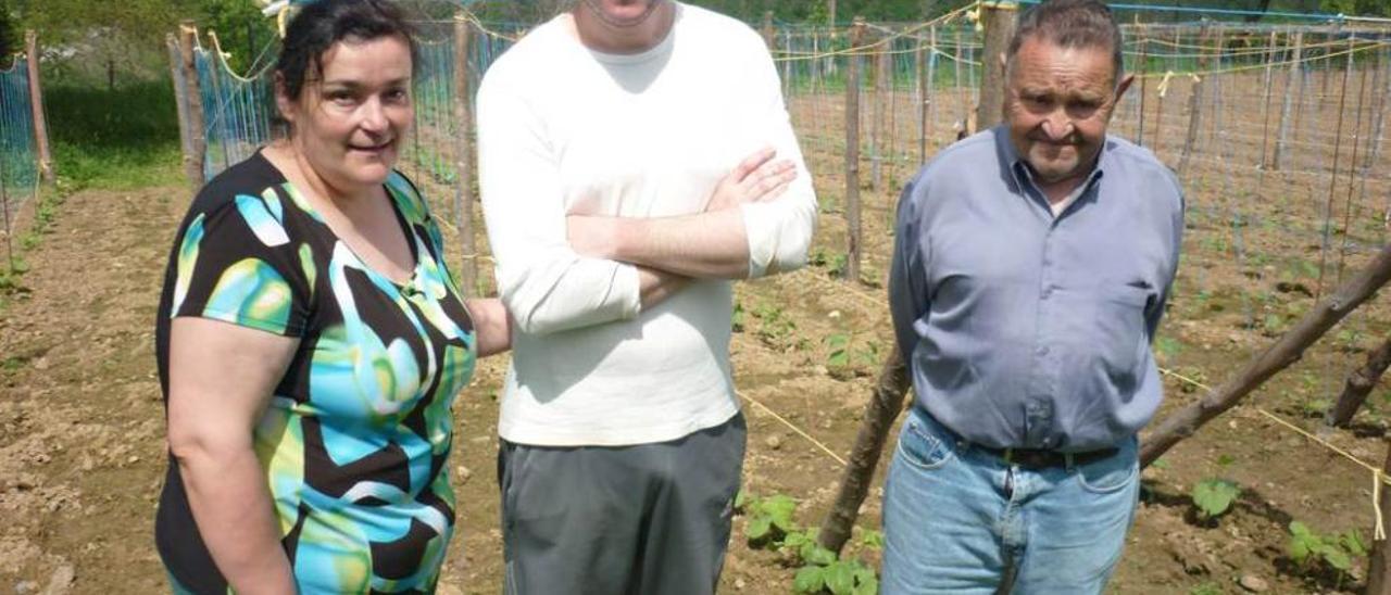 Adonina Álvarez, Adrián Álvarez y Casimiro Álvarez, en la plantación de fabas. A la derecha, Telva Cachero y Ernestina Francos, en su bar-tienda.