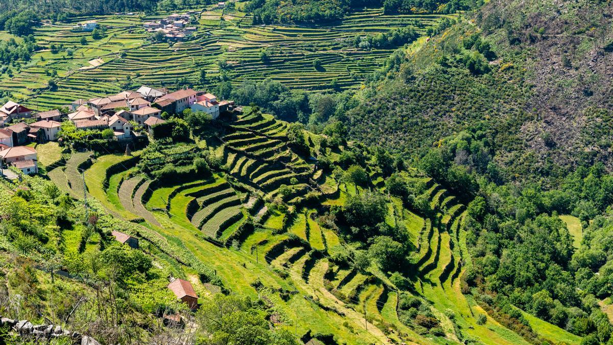 El Tíbet de Portugal: terrazas verdes y espiritualidad lusa