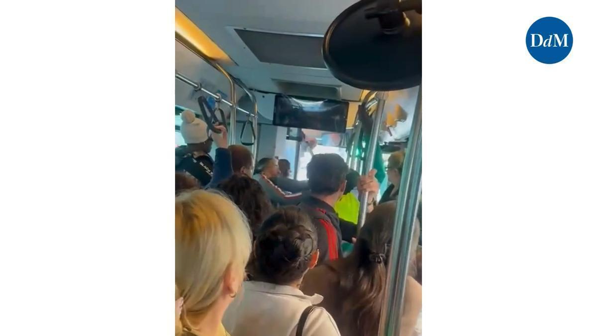 Un pasajero propina un brutal cabezazo a otro en un autobús de la EMT de Palma