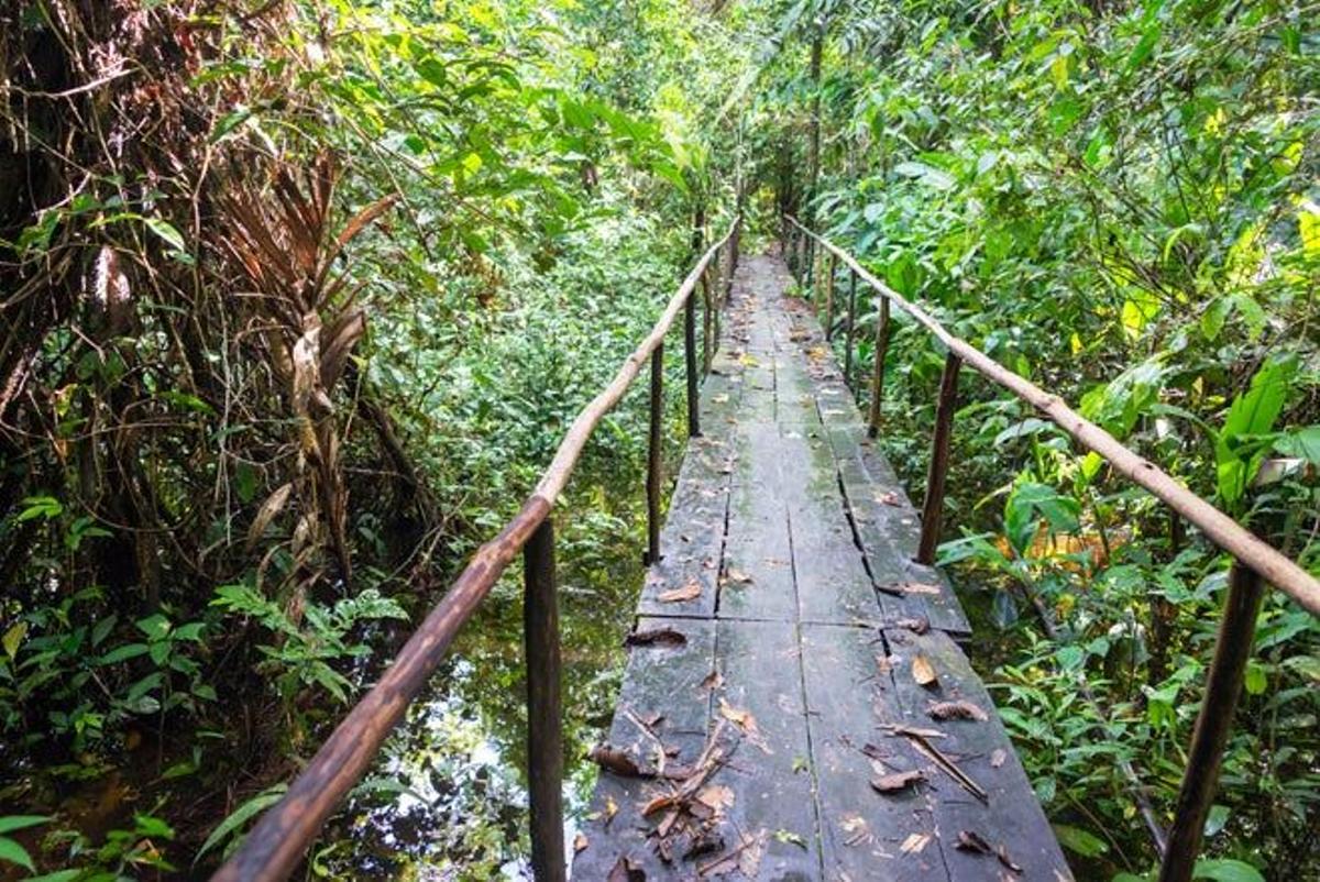 Reserva Nacional Pacaya Samiria