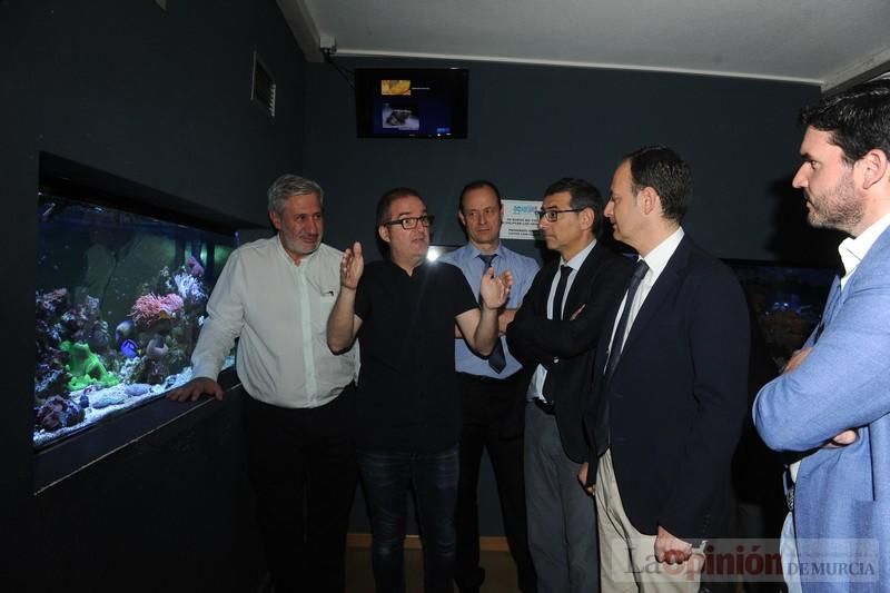 El acuario de la UMU albergará las especies emblemáticas del Mar Menor