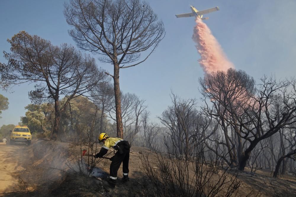 Incendi forestal a Blanes