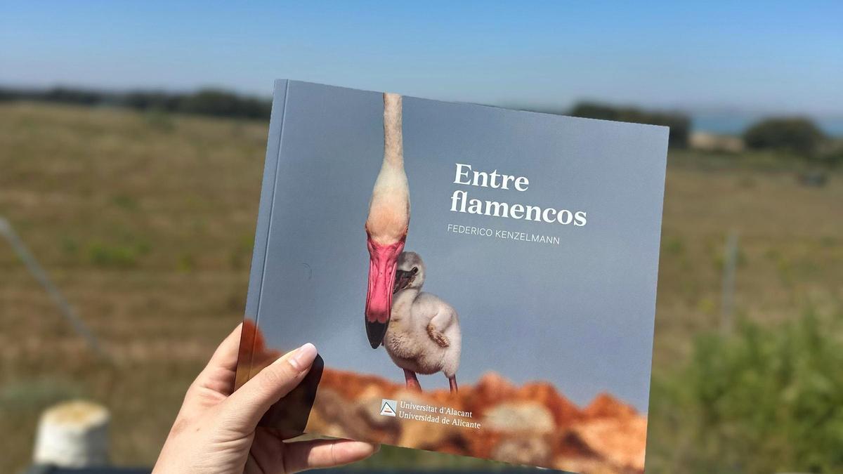 Portada del libro Entre Flamencos de Federico Kenzelmann Area, editado por la sede de la UA en Torrevieja