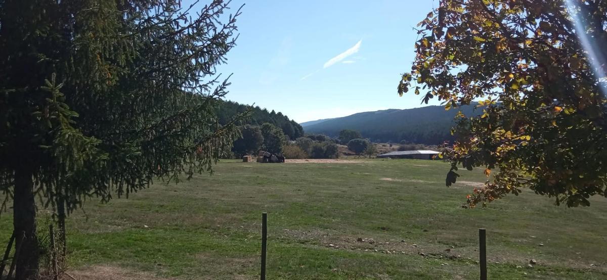 El Casal de Abejera de Tábara.