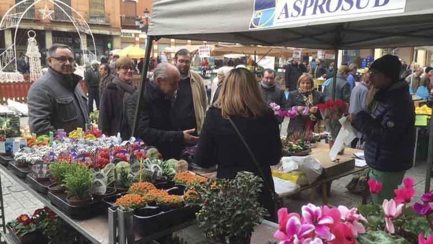 El PP da a conocer a sus candidatos en el mercadillo