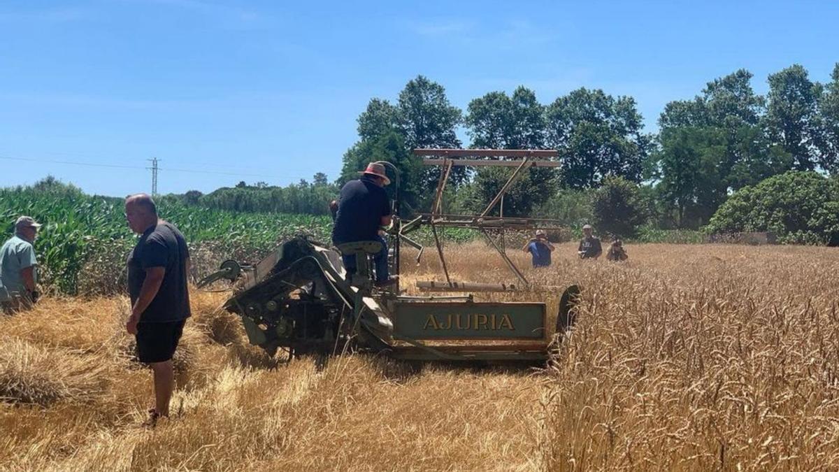 Castelló Fira del Blat al Pa i Festa de la Sega | AJUNTAMENT DE CASTELLÓ