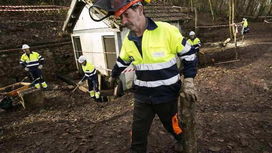 Operarios del plan de empleo limpiando ayer el bosque de La Zoreda.