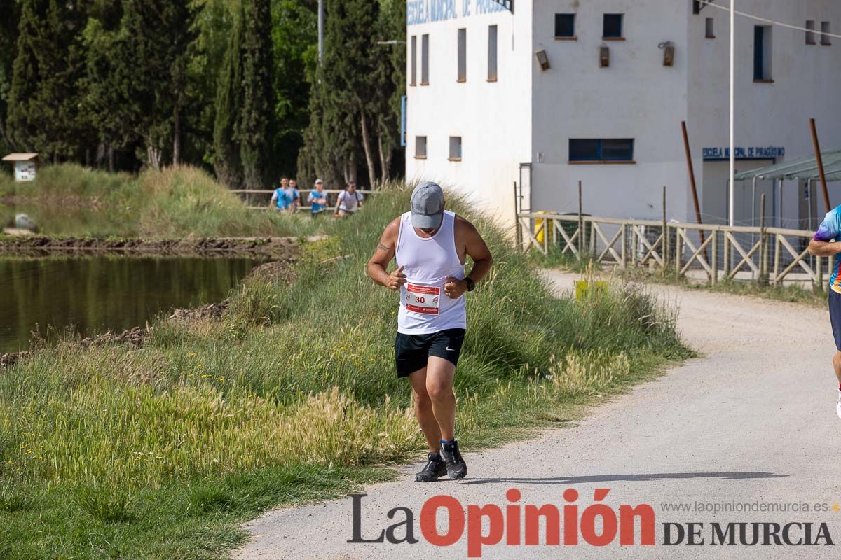 Carrera 'Entre arrozales' en Calasparra (carrera)