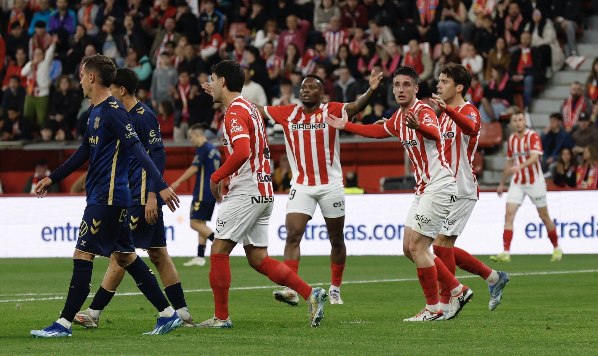 EN IMÁGENES: El Sporting - Tenerife disputado en El Molinón