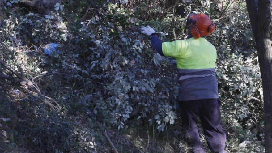 Girona retira 1.744 tones de deixalles a les Pedreres