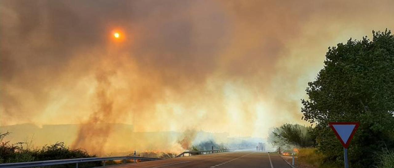 Uno de los incendios de la pasada semana obligó a cortar la N-332. | LEVANTE-EMV