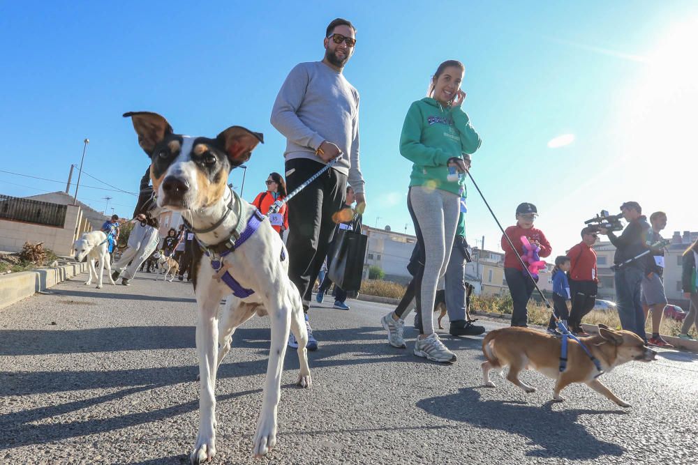 Almoradí celebra su primera Caminata Solidaria con animales