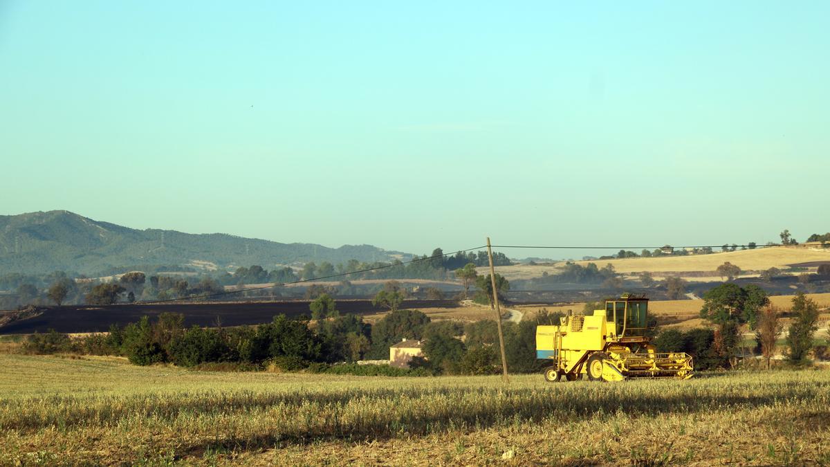 Pla general on es veu una màquina recol·lectora de cereals i, al darrere, un camp crema en l'incendi a Santa Coloma de Queralt, el 25 de juliol de 2021. (Horitzontal)