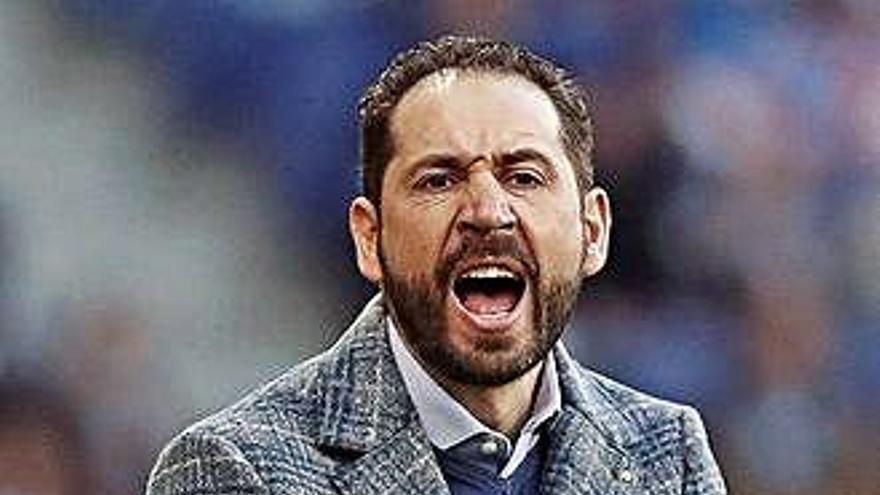 Pablo Machín, entrenador de l&#039;Espanyol, durant el partit contra el Betis