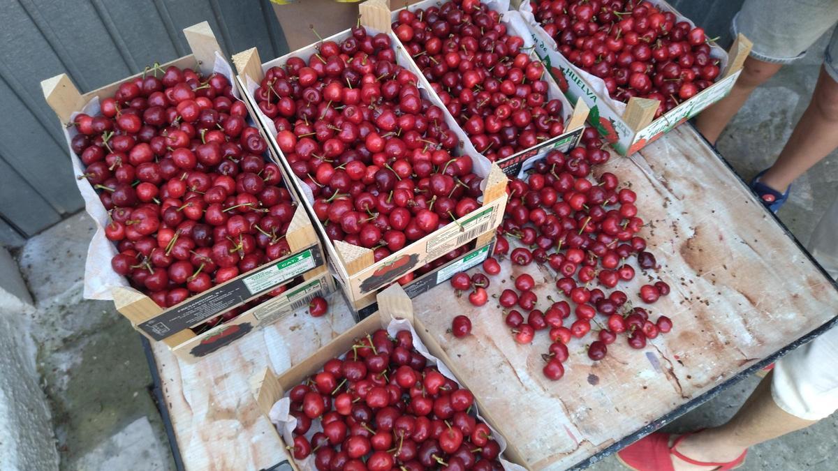Cerezas de la Vall de Gallinera