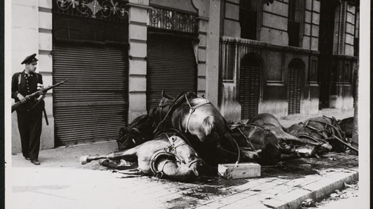 El fotógrafo catalanouruguayo también firmó fotografías con los mismos caballos que sirvieron, en la calle Diputació, de barricada a los guardias de asalto que posaron para Centelles.