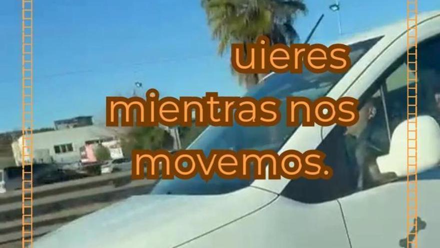 Hatchi impulsa un transporte privado para las mascotas