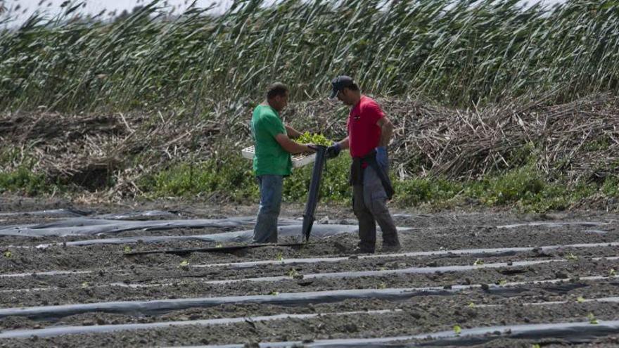 Denuncial el bloqueo al proyecto de parque natural para Los Carrizales