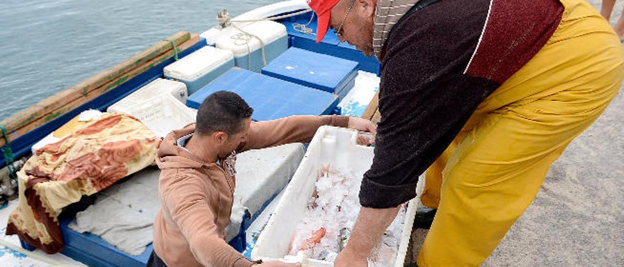 Descarga de pescado en el Muelle de Arguineguín.