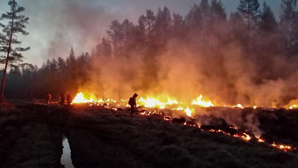 Aumenta el número de incendios forestales en Siberia.