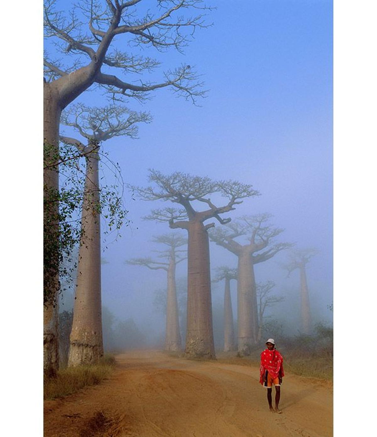 Memorias de África