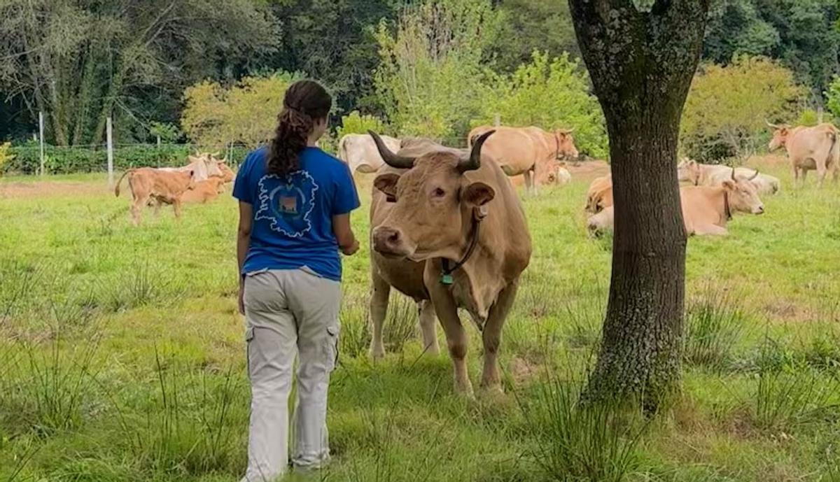 Katelyn Martínez, la hija de Hugo, le ayuda en la granja