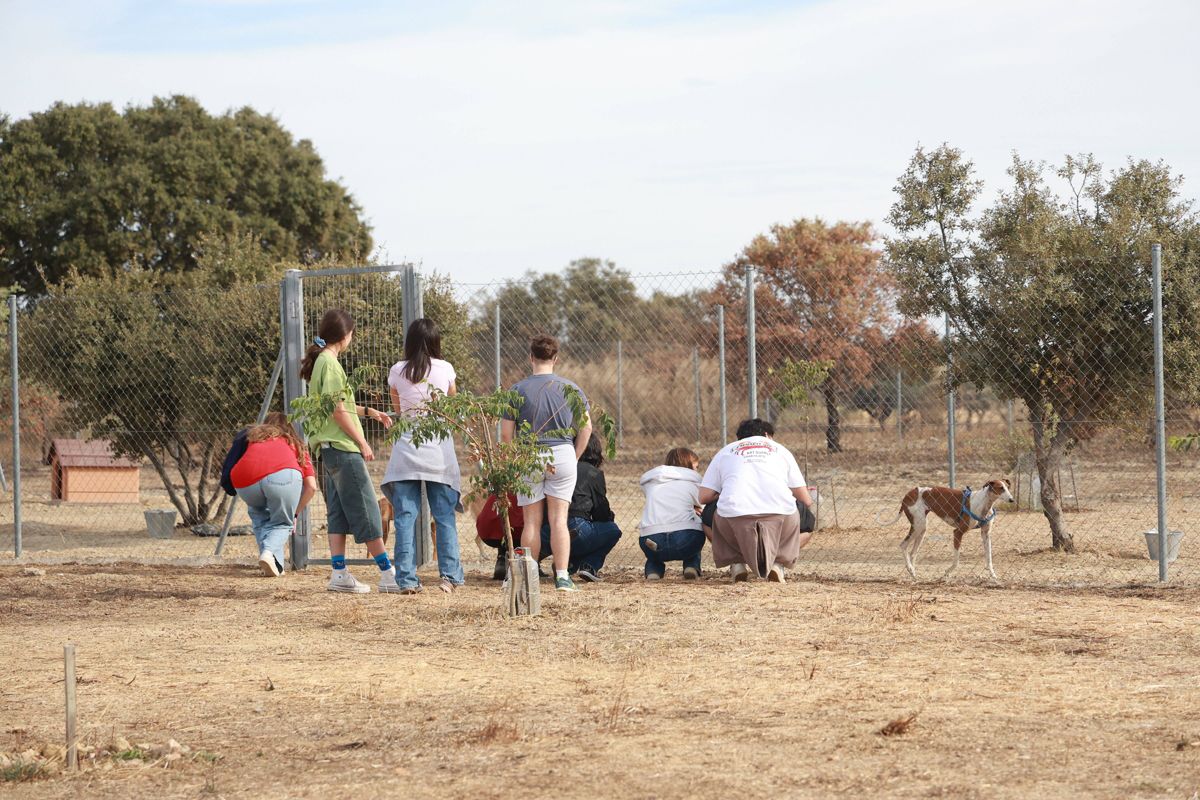 Fotogalería | Así es el nuevo albergue para animales de Cáceres