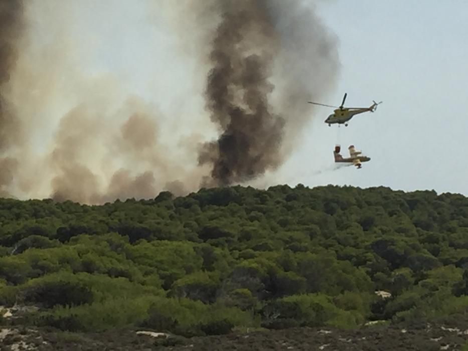 Im Gebiet von sa Canova im Nordosten von Mallorca ist am Mittwochnachmittag (17.8.) erneut ein Waldbrand ausgebrochen, nachdem es nur zwei Tage zuvor bereits gebrannt hatte. Das Feuer war gegen 2 Uhr nachts unter Kontrolle und zerstörte rund 23 Hektar Kiefernwald.