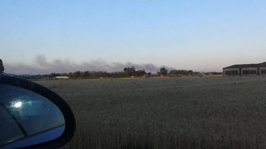Un incendi ha afectat vegetació a Castelló