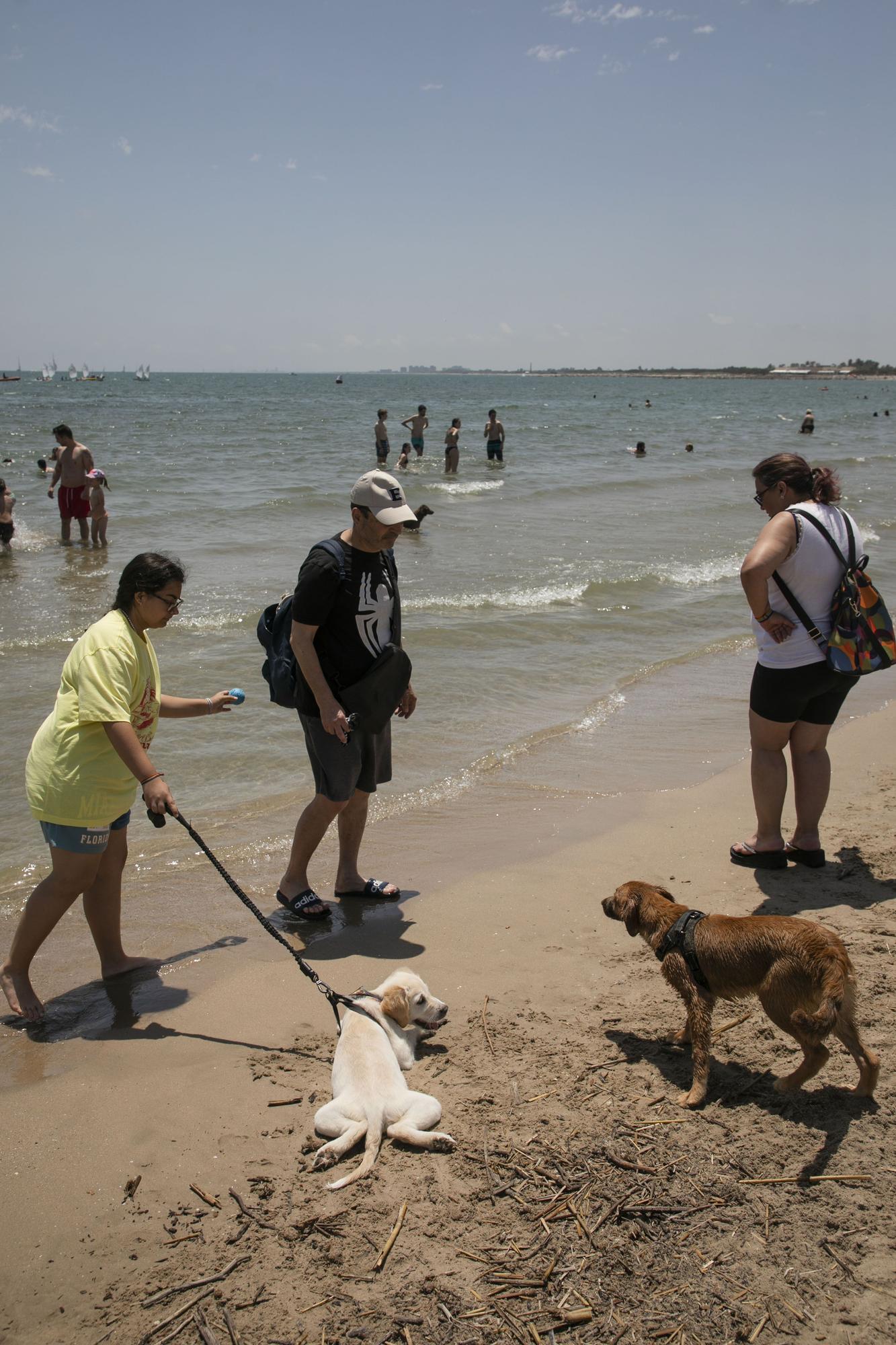 Playa canina de Pinedo