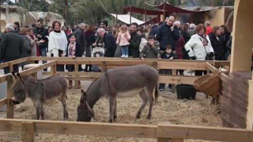 Algunos de los animales en el Belén Viviente y la protesta realizada por el colectivo de animalistas.