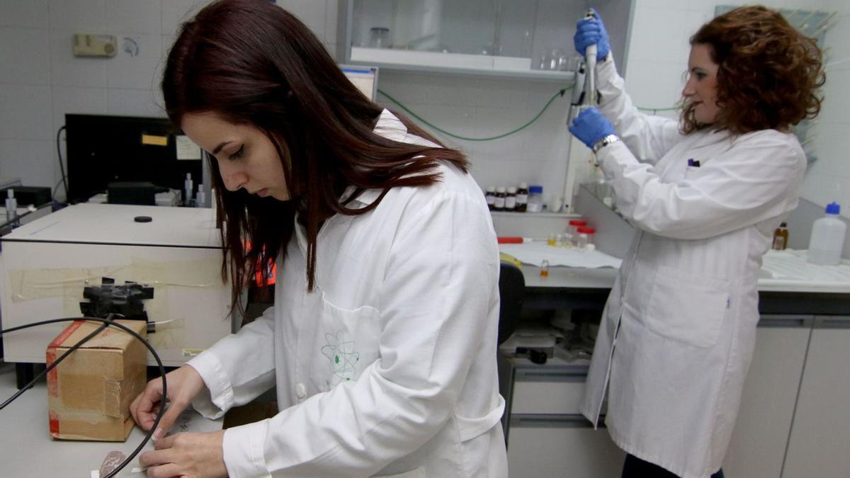 El acceso de mujeres a carreras científico-técnicas se ha estancado en la UCO en torno al 32%.