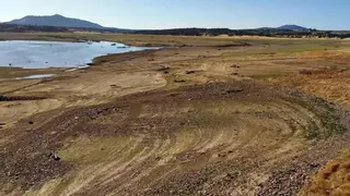 Vacían el embalse de Alcollarín para erradicar una especie invasora: "El desastre ecológico es aún mayor"