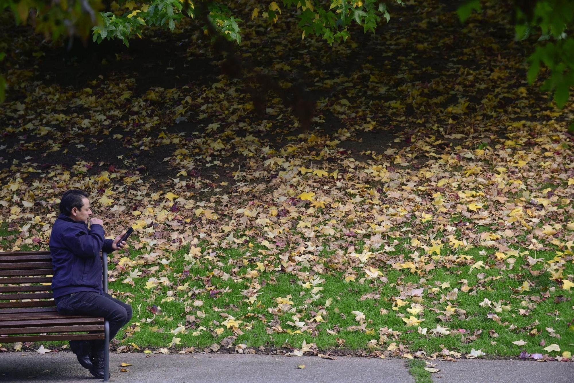 El parque de Vioño: la estampa perfecta del otoño en A Coruña