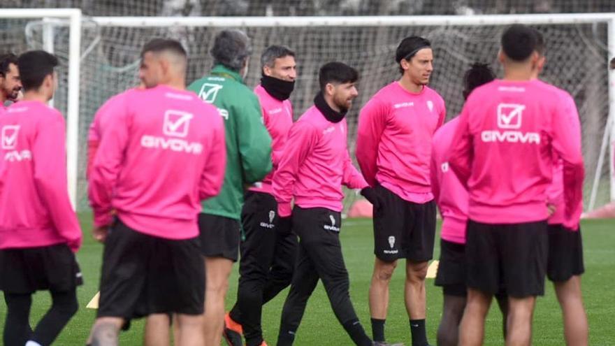 Pablo Alfaro mueve piezas y planea reformas en el Córdoba CF