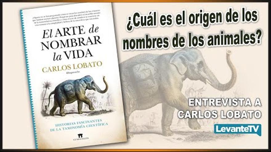 CVED - ¿Cuál es el origen de los nombres de los animales?