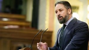 El presidente de Vox, Santiago Abascal, en el Congreso de los Diputados.