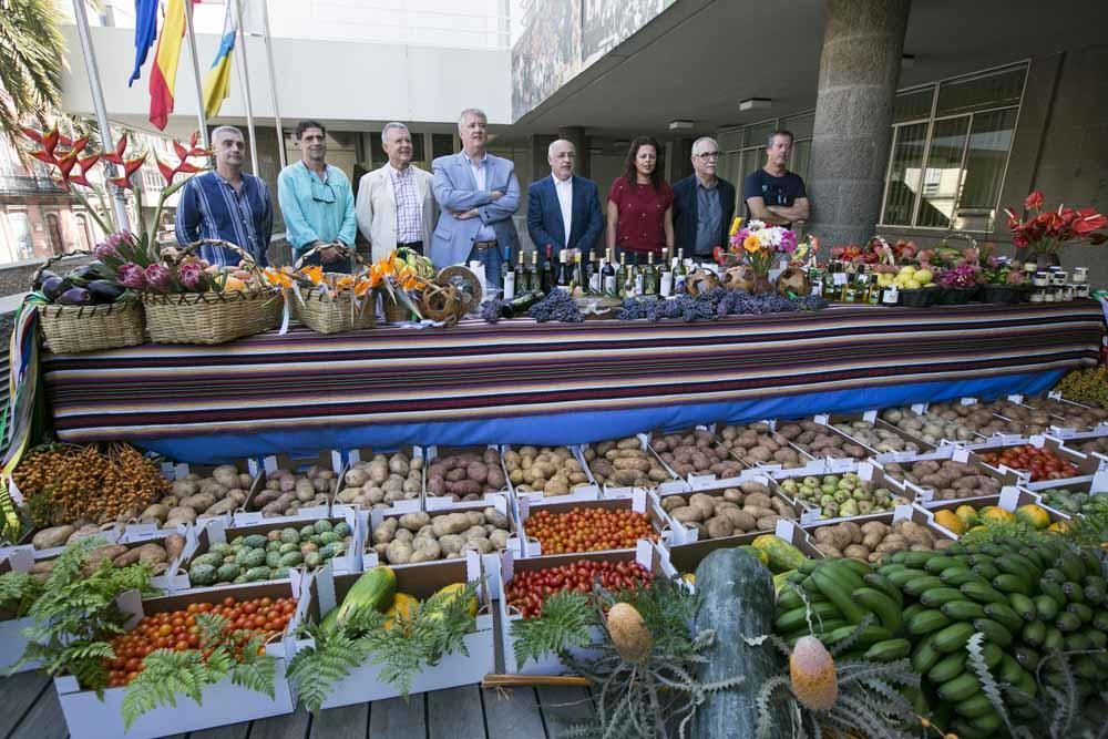 Presentación de la carreta del Cabildo