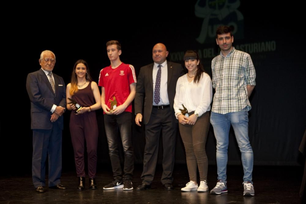 XXVI Gala del Judo Asturiano en el Nuevo Teatro de La Felguera