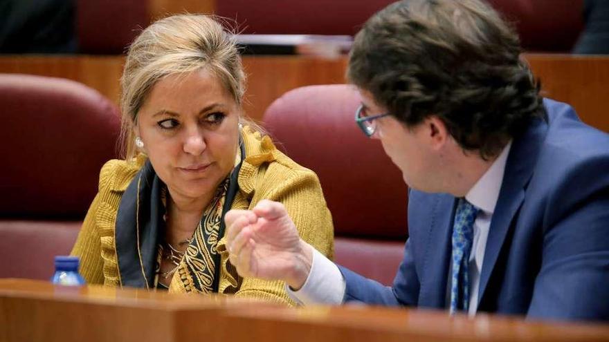 La procuradora zamorana Rosa Valdeón junto a Alfonso Fernández en un pleno celebrado en las Cortes.