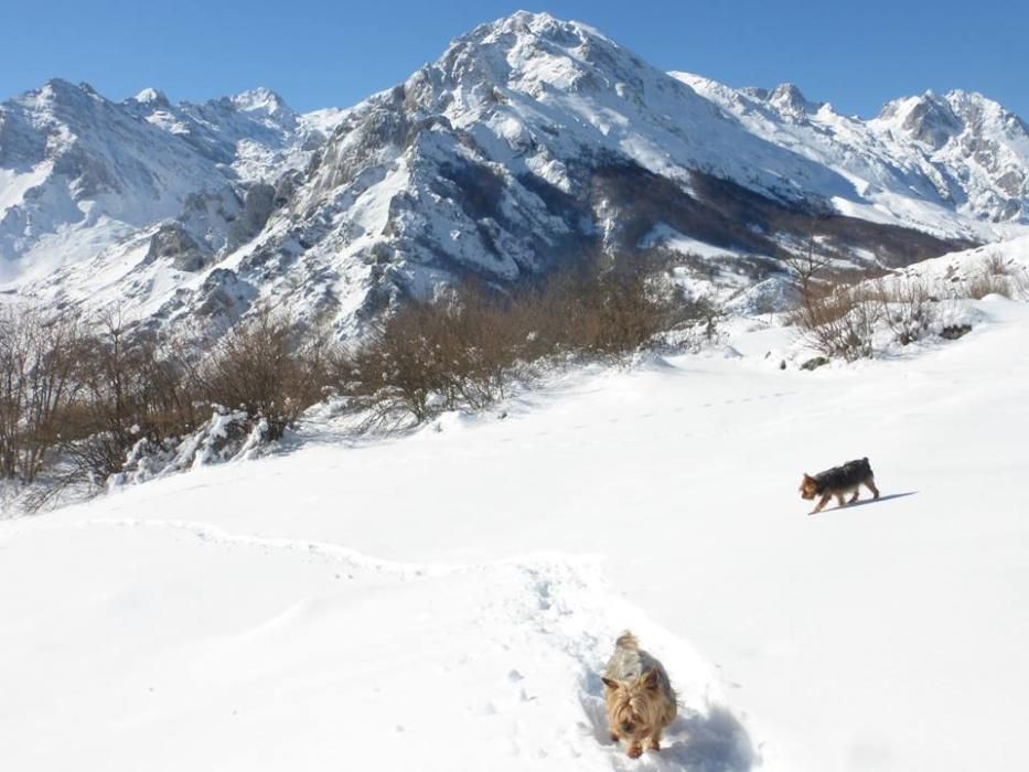 Turismo de invierno en Asturias