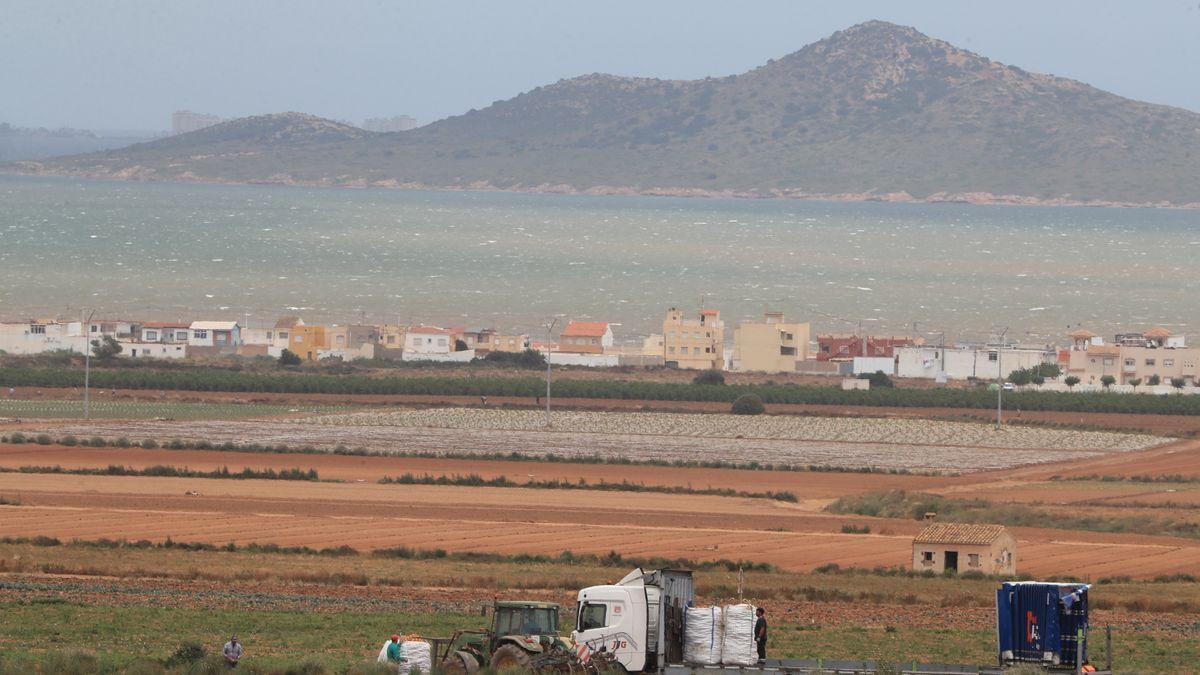 Fincas agrícolas Junto al Mar Menor.