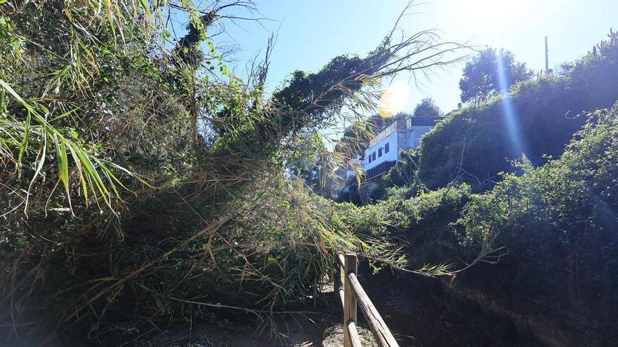 Incidencias por el viento en Vila-real