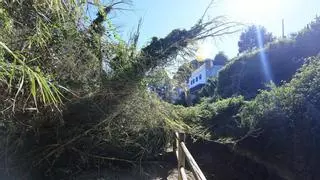 Directo | Problemas en carreteras de Castellón y suspensión de trenes por las rachas "salvajes" de viento