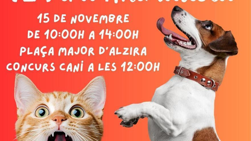 Alzira celebra la seua Fira Animalista