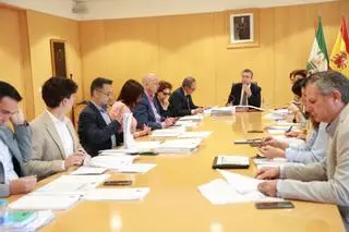 La Diputación aprueba una colaboración de 300.000 euros para fomentar el deporte en Sevilla