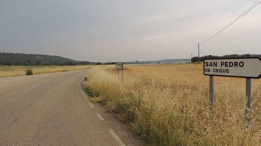 Aspecto que presentan las cunetas de esta carretera invadidas por la vegetación