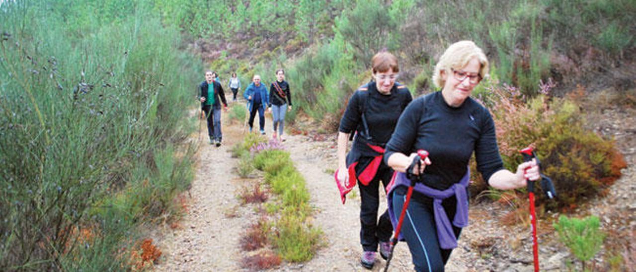 Andaina Popular de Monterrei.