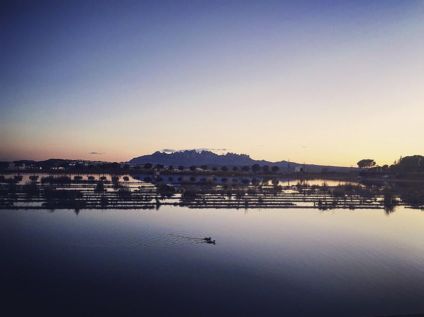 Bages. Una lectora ens ha enviat aquesta fotografia corresponent al parc de l’Agulla. El sol s’està ponent i ens deixa que observem aquesta magnífica postal.